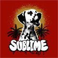 Sublime1993