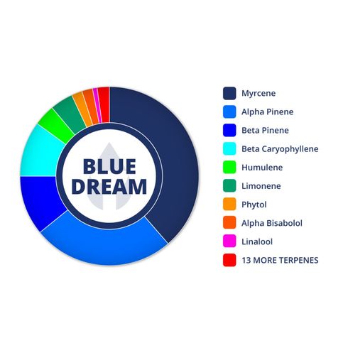 Blue Dream Profile Strain | Leafly