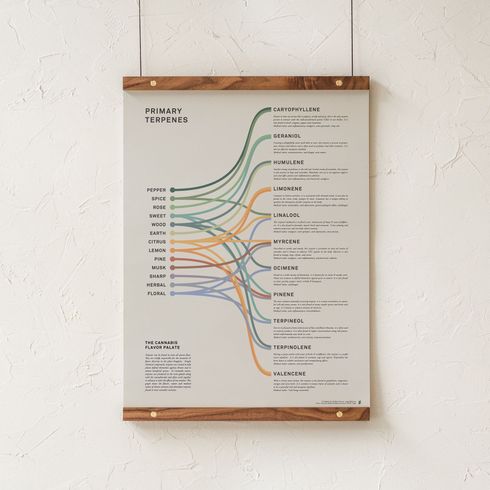 Terpene Chart, Cannabis Flavor Infographic Print / Poster